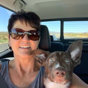 Meet your Posher, Lynette